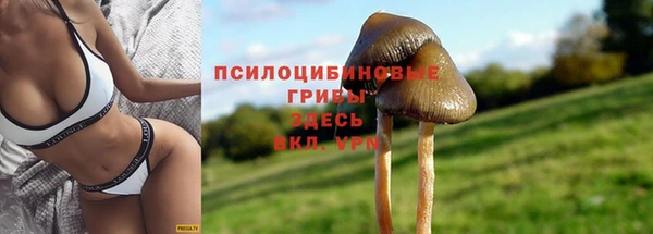 первитин Алзамай