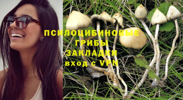 таблы Арсеньев