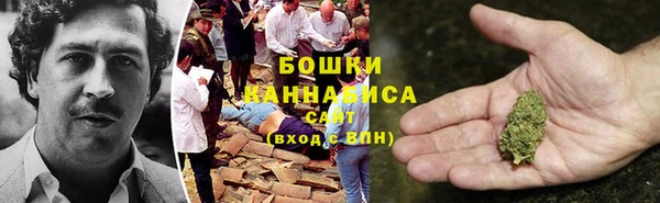 хмурый Семилуки