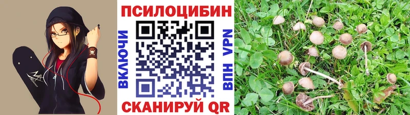 Галлюциногенные грибы Magic Shrooms  kraken маркетплейс  Белорецк 