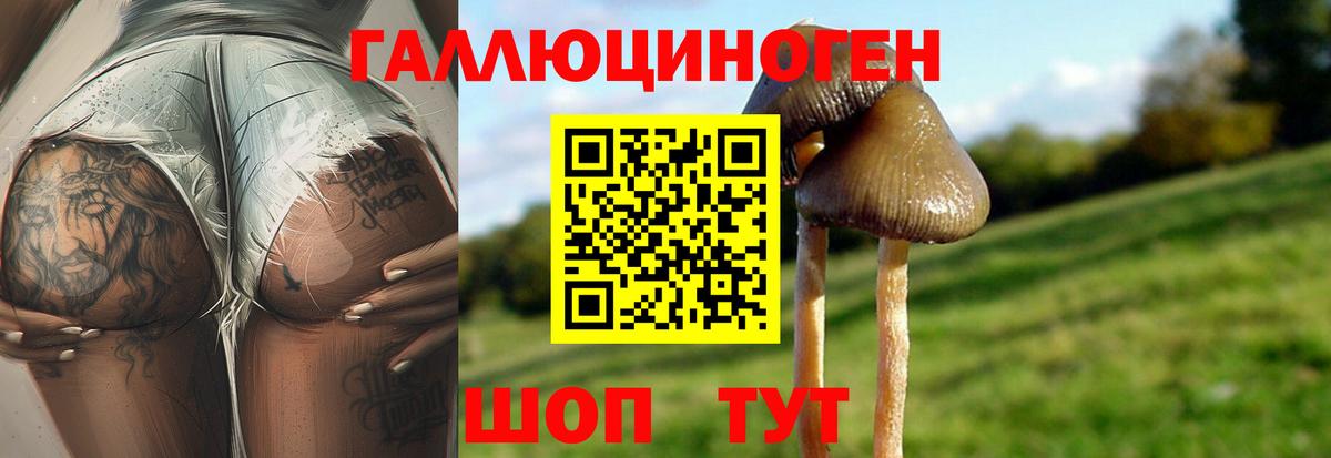 Псилоцибиновые грибы прущие грибы Белорецк